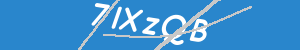 Introduzca el texto que aparece en la imagen